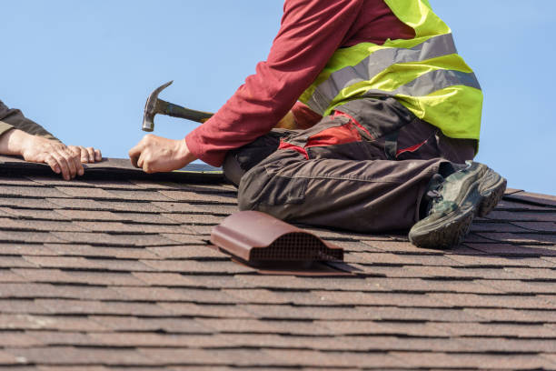 Best Roof Gutter Cleaning  in Rainier, WA
