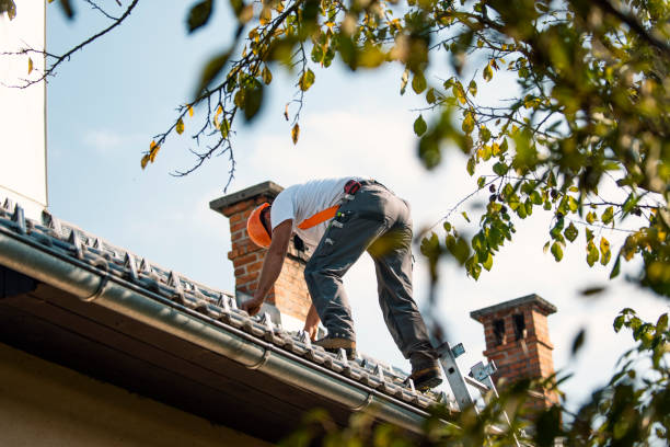 Best Roof Maintenance Services  in Rainier, WA